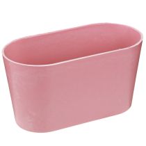 Produkt Miska na rośliny owalna różowa miska ozdobna plastikowa 20×10×11cm 3szt