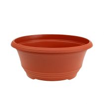 Produkt Plastikowa miska do sadzenia Ø20cm terakota 1 szt