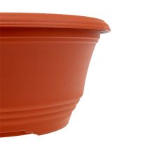 Produkt Plastikowa miska do sadzenia Ø20cm terakota 1 szt