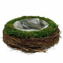 Rattan miska na rośliny, mech Ø26cm W9cm