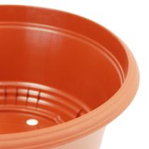 Produkt Miska na rośliny plastikowa Ø23cm W10cm 1 szt