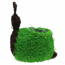 Produkt Sadzarka Snail Vine Naturalna, Zielona 21x14cm W26cm