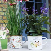 Produkt Kubek emaliowany do sadzenia, kubek do sadzenia z napisem, Ø11cm