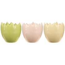 Produkt Doniczka w kształcie jajka z załamanym brzegiem do kreatywnego ustawienia na parapetach i stołach, 9 cm, 3 sztuki