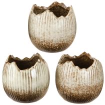 Produkt Doniczka ceramiczna jajko rozbite kremowo-brązowe Ø9,5cm 3 szt