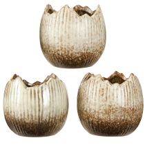 Produkt Doniczka ceramiczna jajko rozbite kremowo-brązowe Ø9,5cm 3 szt