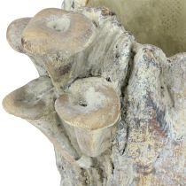 Produkt Doniczka kamienna z grzybami, pień drzewa 16 cm