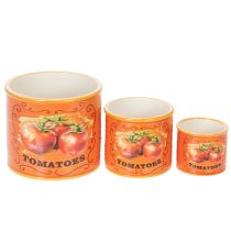 Produkt Zestaw doniczek na pomidory, ceramiczne doniczki dekoracyjne do kuchni i wystroju retro, 14 cm, zestaw 3 sztuk