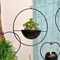 Produkt Sadzarka wisząca czarna Metalowy pierścień Ø38cm z miską Ø15cm