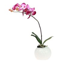 Produkt Sztuczne storczyki w doniczce Phalaenopsis sztuczne kwiaty storczyki różowe 34cm