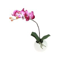 Produkt Sztuczne storczyki w doniczce Phalaenopsis sztuczne kwiaty storczyki różowe 34cm
