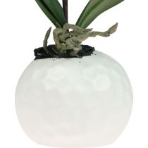 Produkt Sztuczne storczyki w doniczce Phalaenopsis sztuczne kwiaty storczyki różowe 34cm