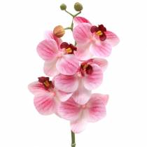 Sztuczny storczyk gałązka Phaelaenopsis Pink H49cm