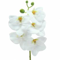 Orchidea sztuczna gałązka Phaelaenopsis biała H49cm