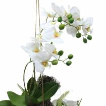 Orchidea z paprociami i kulkami mchu sztuczna biała wisząca 64cm