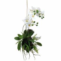 Orchidea z paprociami i kulkami mchu sztuczna biała wisząca 64cm