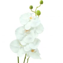 Orchid Phalaenopsis sztuczny biały 80cm