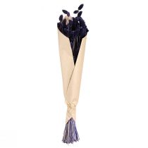 Produkt Suszona trawa ozdobna Phalaris Violet 50-55cm 100g
