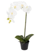Produkt Sztuczna orchidea, łudząco realistyczna, do dekoracji biura i salonu, 62 cm
