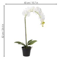 Produkt Sztuczna orchidea, łudząco realistyczna, do dekoracji biura i salonu, 62 cm