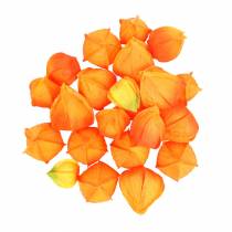 Produkt Physalis Orange Assorted 22 szt. Dekoracyjne sztuczne kielichy