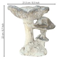 Produkt Kamień dekoracyjny grzybowy odlewany szary bielony 21,5×18×22cm