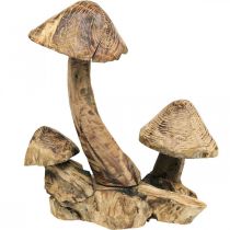 Grupa grzybów, drewno paulownia, dekoracja jesienna, rzeźba w drewnie wys.33cm dł.30cm
