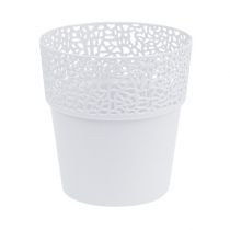 Plastikowa saszetka biała Ø14,5cm W15,5cm 1szt