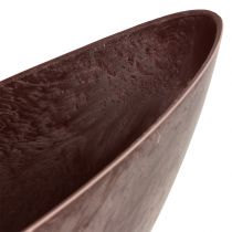 Miska na rośliny Bordeaux 39cm x 12cm W13cm 1szt