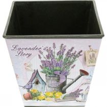 Produkt Doniczka z motywem lawendy, kwadratowa doniczka dekoracyjna, doniczka plastikowa wys. 13 cm szer. 13,5 cm