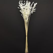 Produkt Trawa płaskoucha sucha Chasmantium białe 70cm 10 szt.