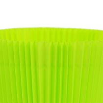 Produkt Mankiety plisowane jasnozielone 10,5cm 100 szt