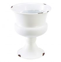 Produkt Wazon filiżankowy kubek dekoracyjny biała rdza Ø13,5cm W15cm Shabby Chic