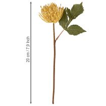 Produkt Protea sztuczna Leucospermum igielnik żółty 30cm 6 szt.