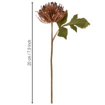 Produkt Protea sztuczna igielnica Leucospermum fioletowa 30cm 6 szt.