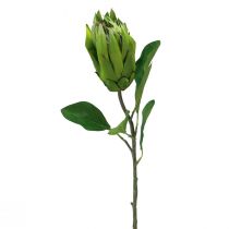 Produkt Protea Zielony Czerwony Sztuczny kwiat Sztuczna gałązka L65cm Ø5,5cm