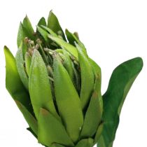 Produkt Protea Zielony Czerwony Sztuczny kwiat Sztuczna gałązka L65cm Ø5,5cm