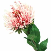 Protea sztuczna różowa 73cm