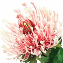 Produkt Protea Sztuczny Róż 73cm