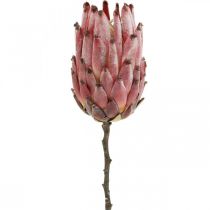 Sztuczna Protea Czerwona Egzotyczny sztuczny kwiat W55cm
