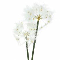 Sztuczny kwiat łąkowy Giant Dandelion White 57cm