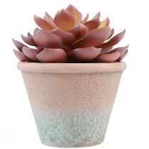 Produkt Sukulent w doniczce Echeveria sztuczny czerwony vintage Ø15cm W16cm