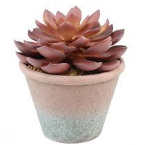 Sukulent w doniczce Echeveria sztuczny czerwony vintage Ø15cm W16cm