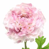 Produkt Ranunculus Lilac H45cm