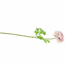 Produkt Ranunculus Lilac H45cm