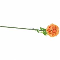 Produkt Ranunculus Salmon H45cm