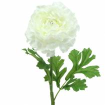 Produkt Ranunculus White H45cm