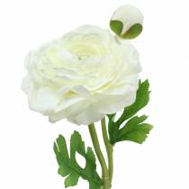 Produkt Sztuczny kwiat Ranunculus z kwiatem i pąkiem biały H34cm