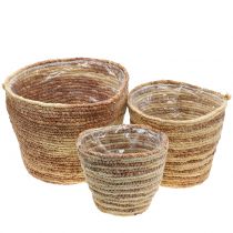 Produkt Kosz na rośliny rattan naturalny/brązowy Ø26/22/16cm 3szt