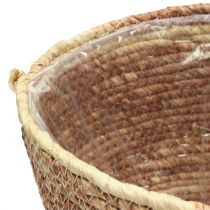Produkt Zestaw koszyków na rośliny z rattanu, naturalny/brązowy, 3-częściowy, Ø26/22/16 cm – dekoracyjny i wszechstronny